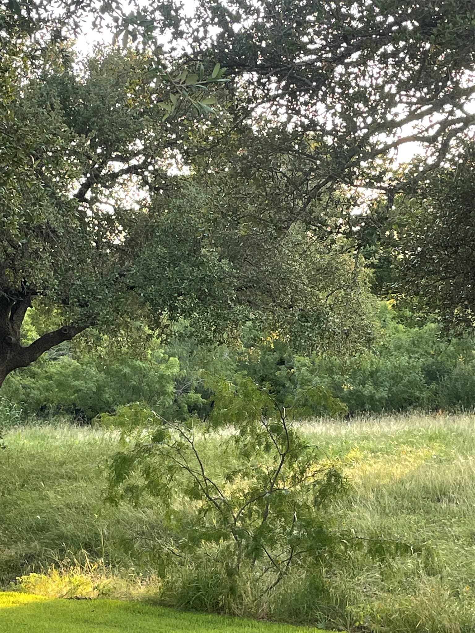 0.84 acres in Llano County - photo 6