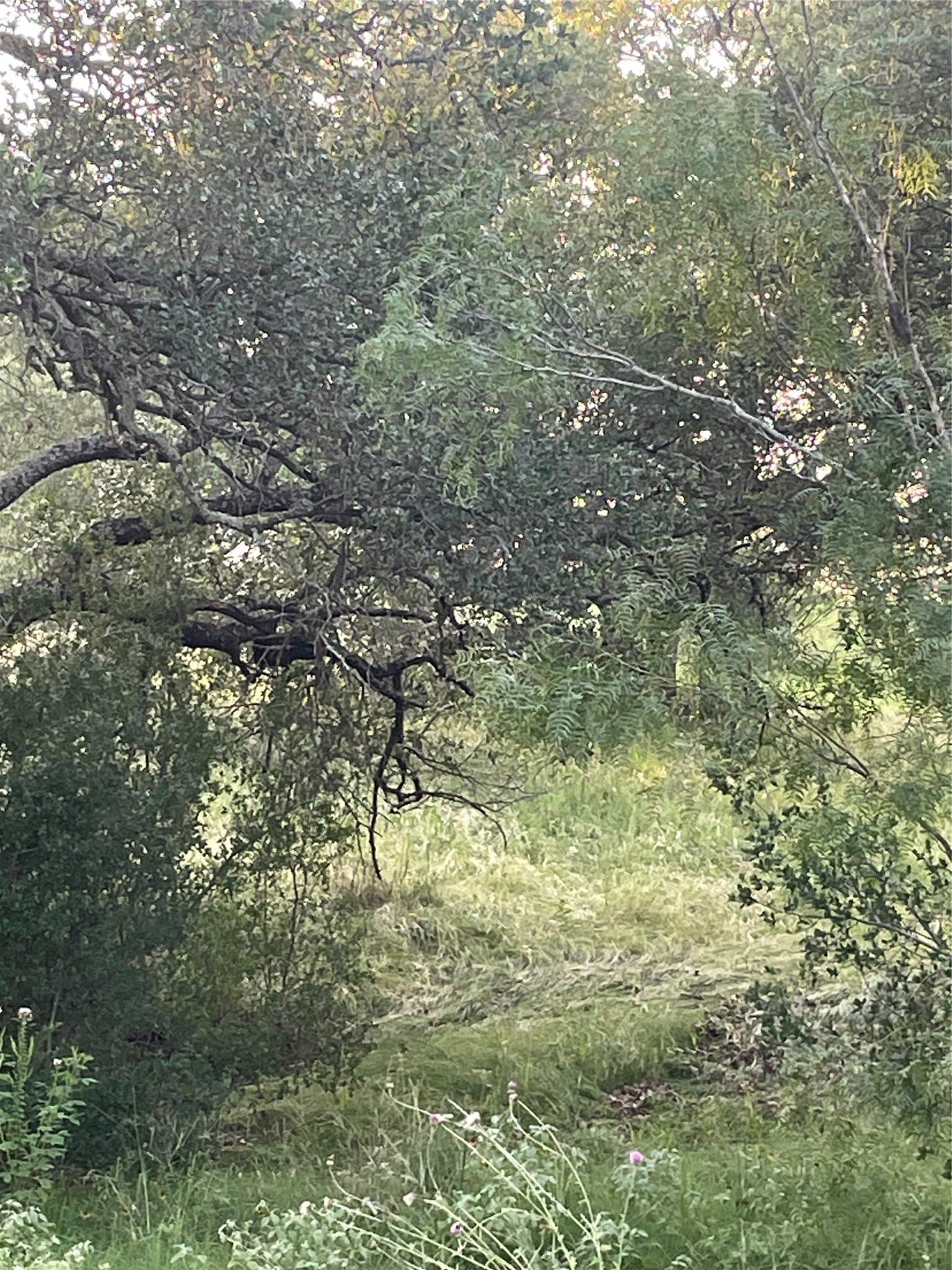 0.84 acres in Llano County - photo 4