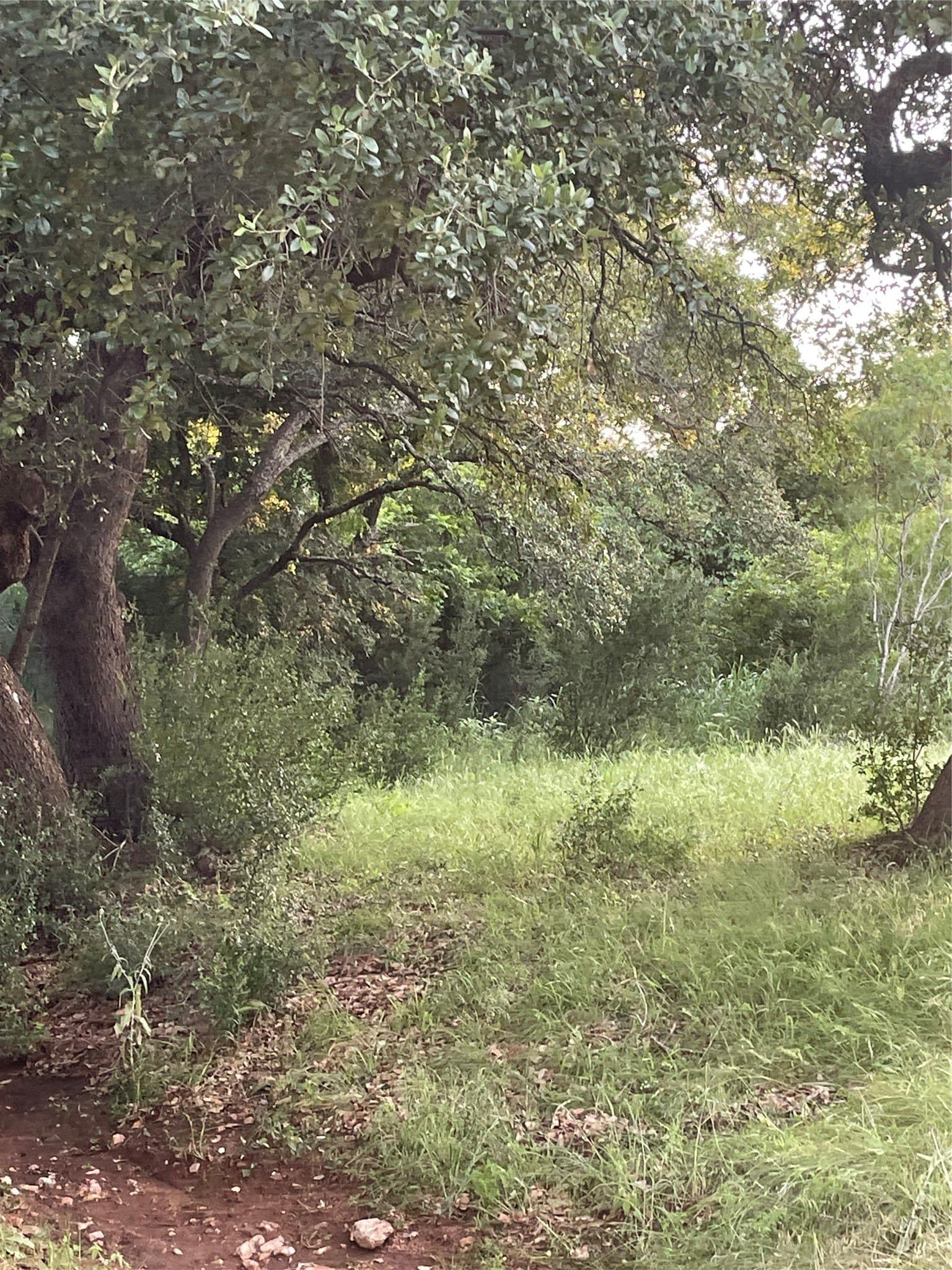 0.84 acres in Llano County - photo 9