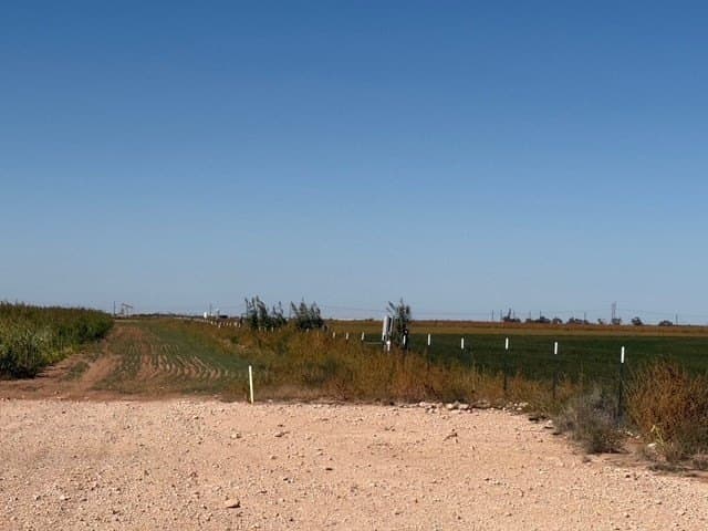 50 acres in Howard County - photo 12