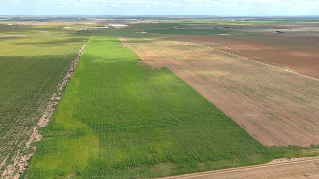 50 acres in Howard County - photo 19