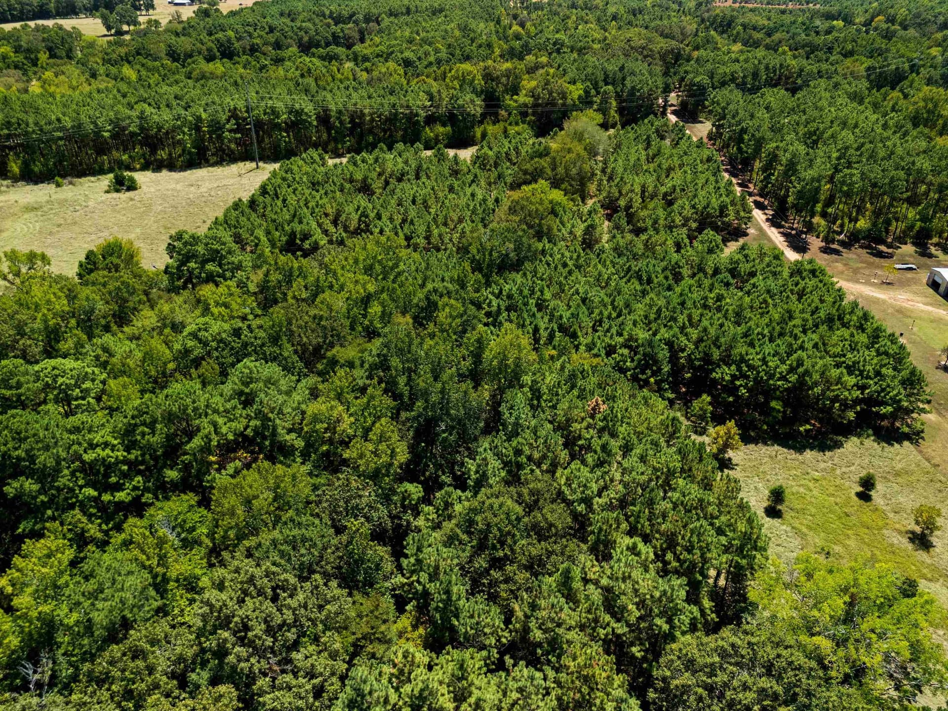 30 acres in Rusk County - photo 14