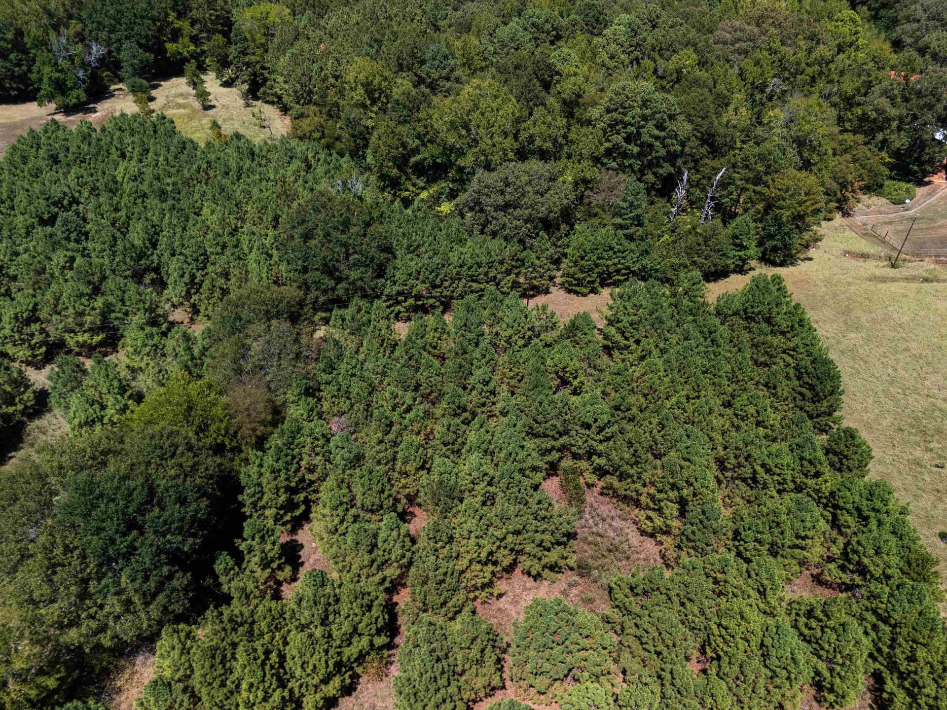 30 acres in Rusk County - photo 8