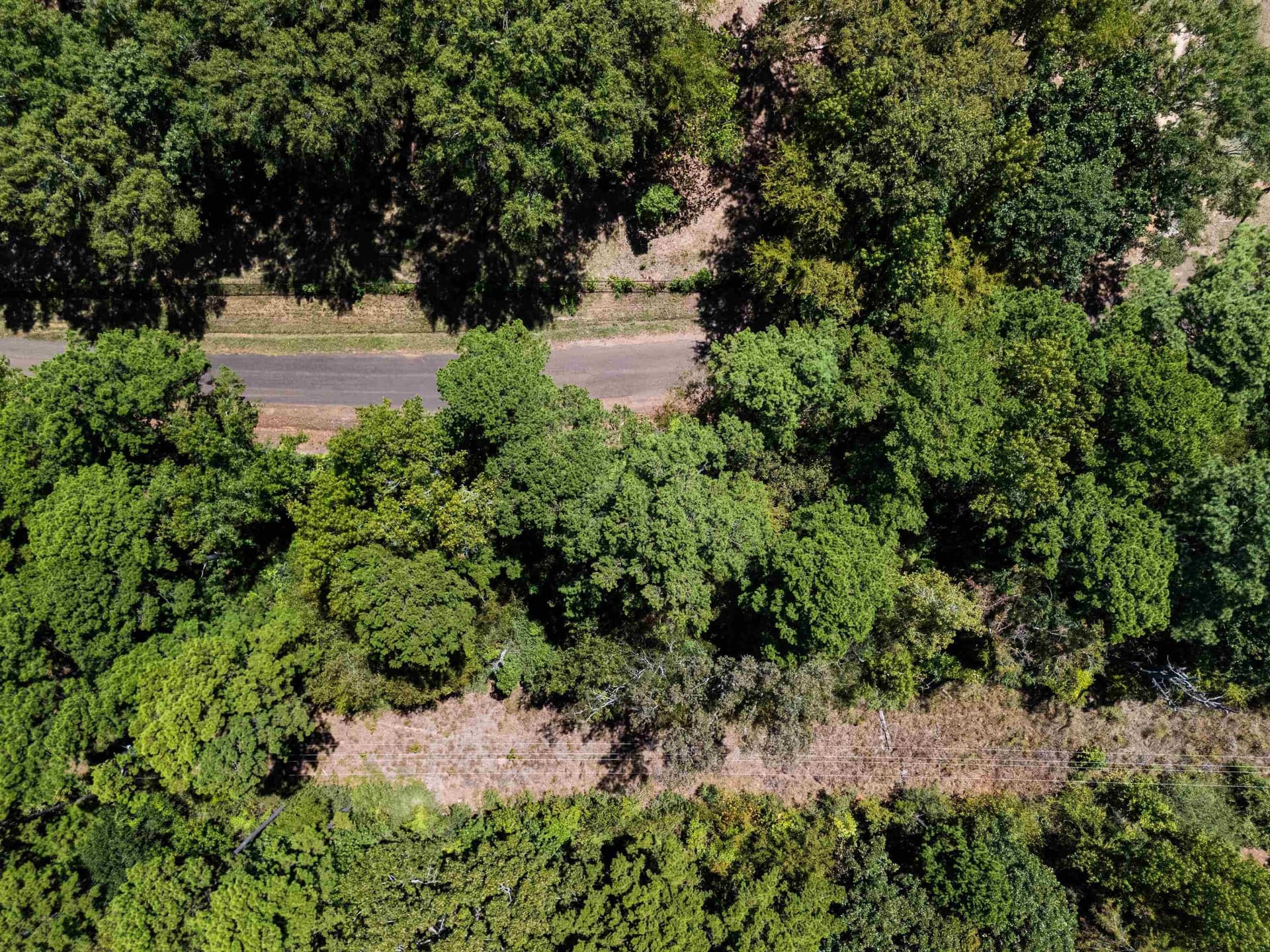 30 acres in Rusk County - photo 15