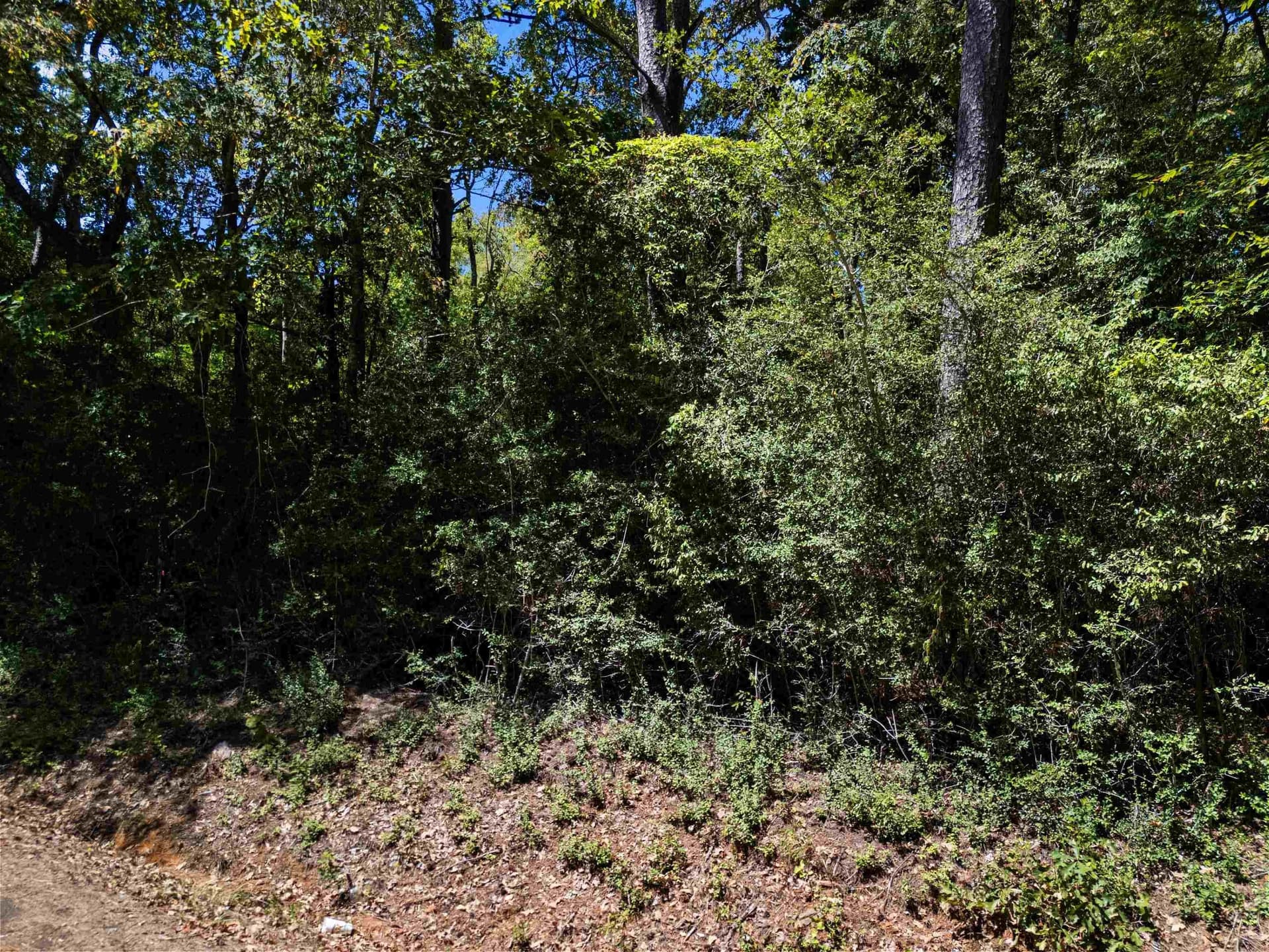 30 acres in Rusk County - photo 18