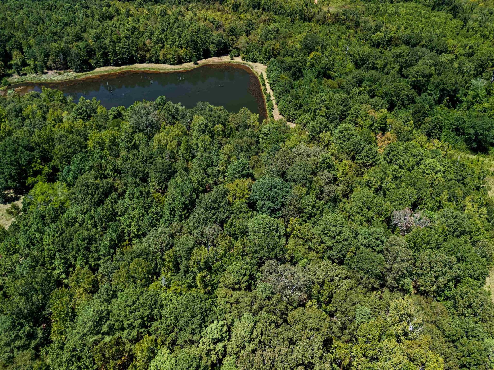 30 acres in Rusk County - photo 9