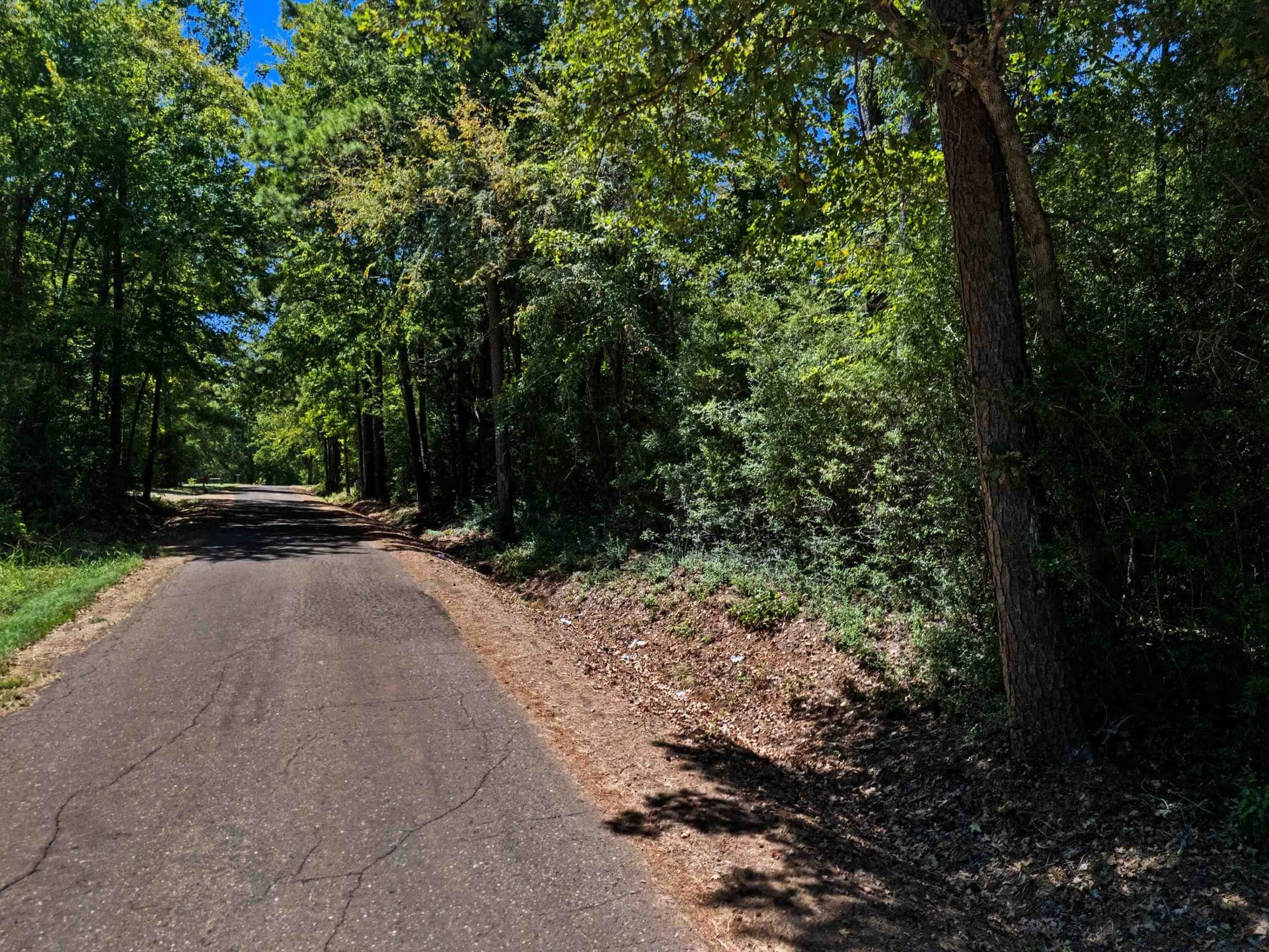 30 acres in Rusk County - photo 17