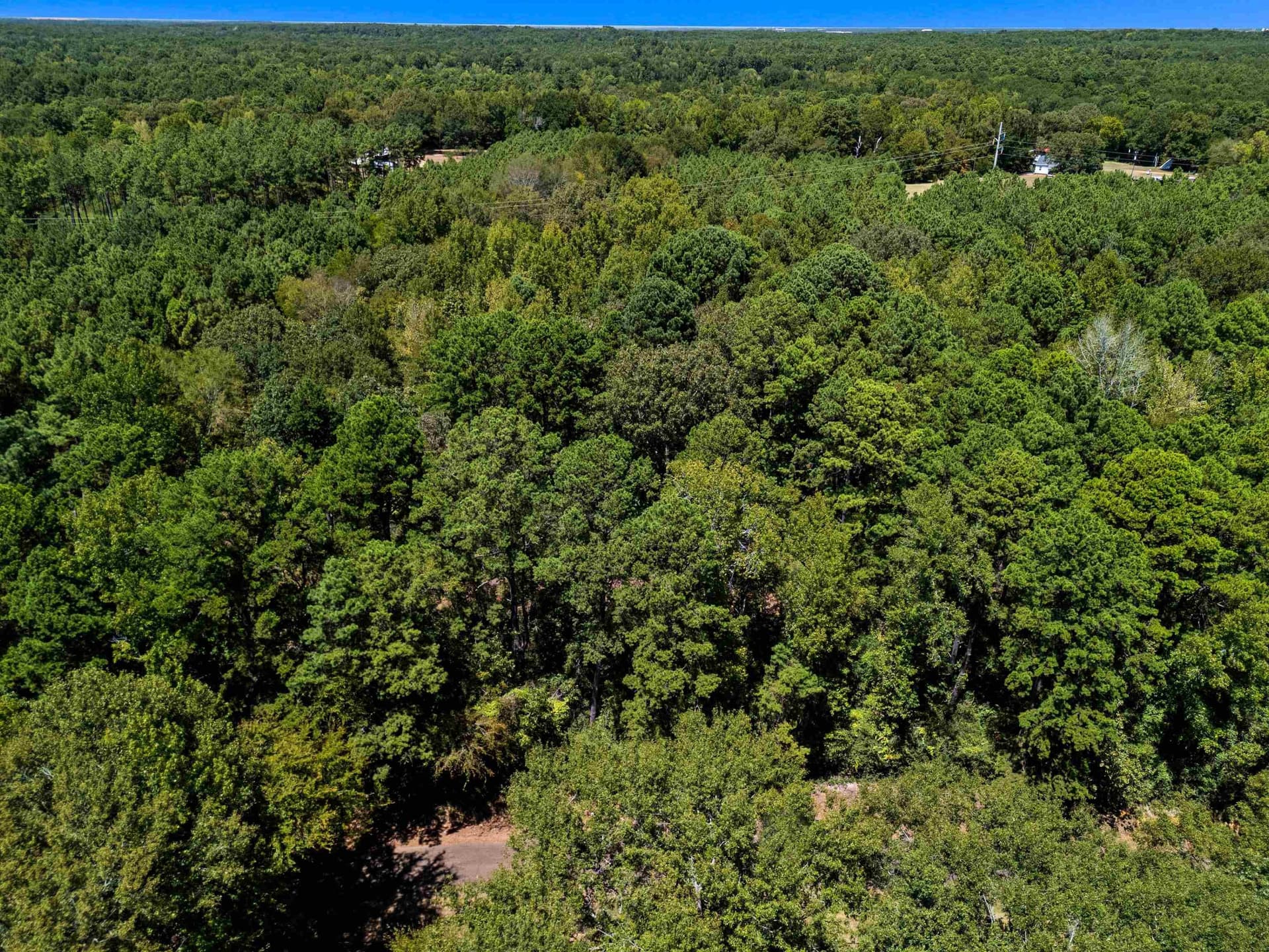 30 acres in Rusk County - photo 16