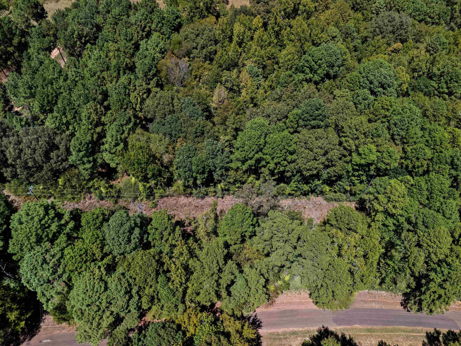 30 acres in Rusk County - photo 6