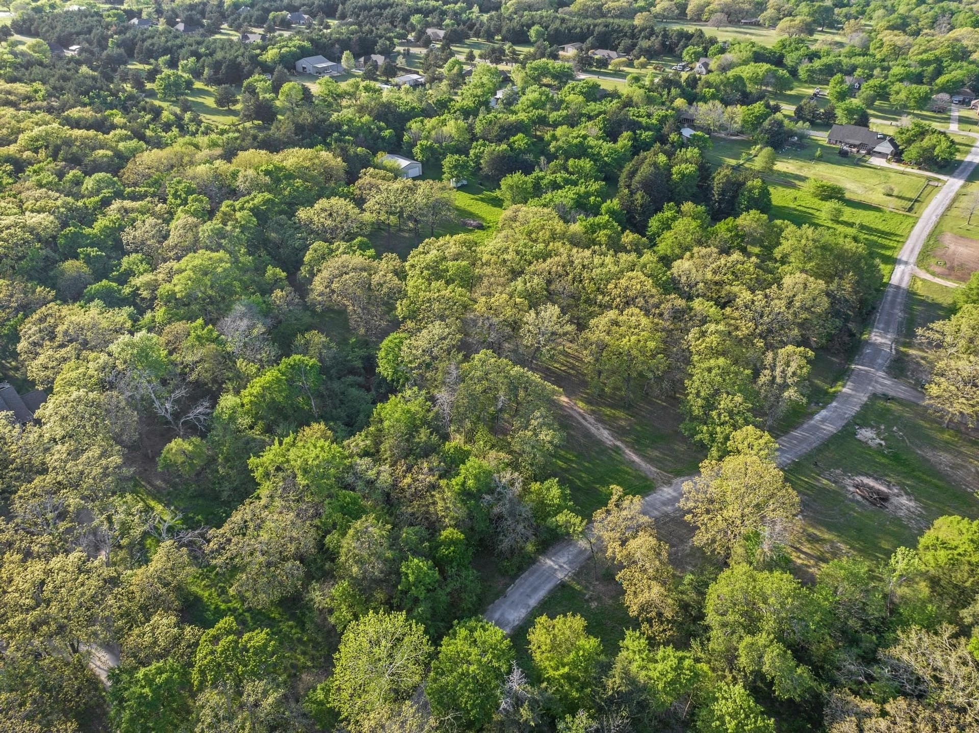 4 acres in Fannin County - photo 10