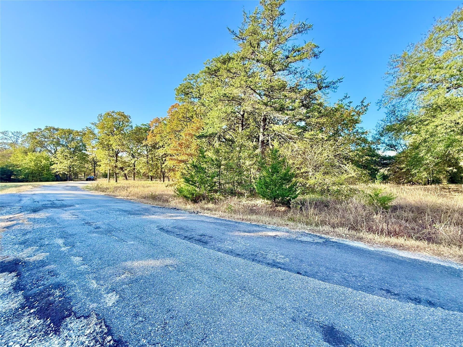4 acres in Fannin County - photo 12