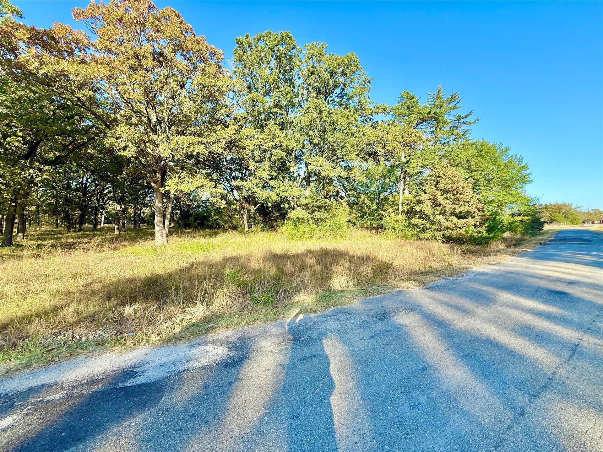 4 acres in Fannin County gallery image 2