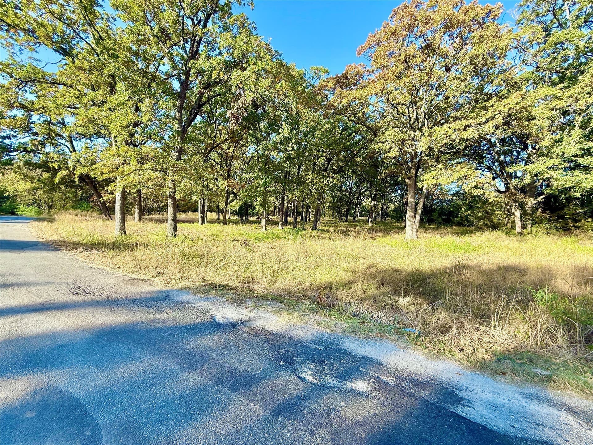 4 acres in Fannin County - photo 9