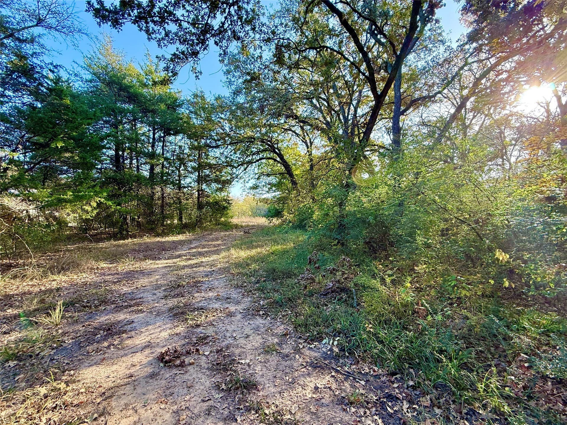 4 acres in Fannin County gallery image 4