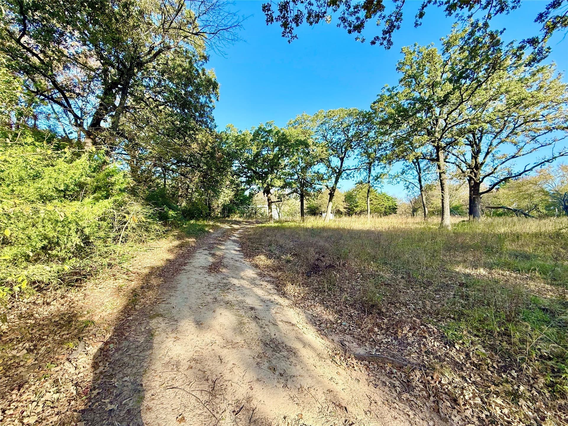 4 acres in Fannin County - photo 15