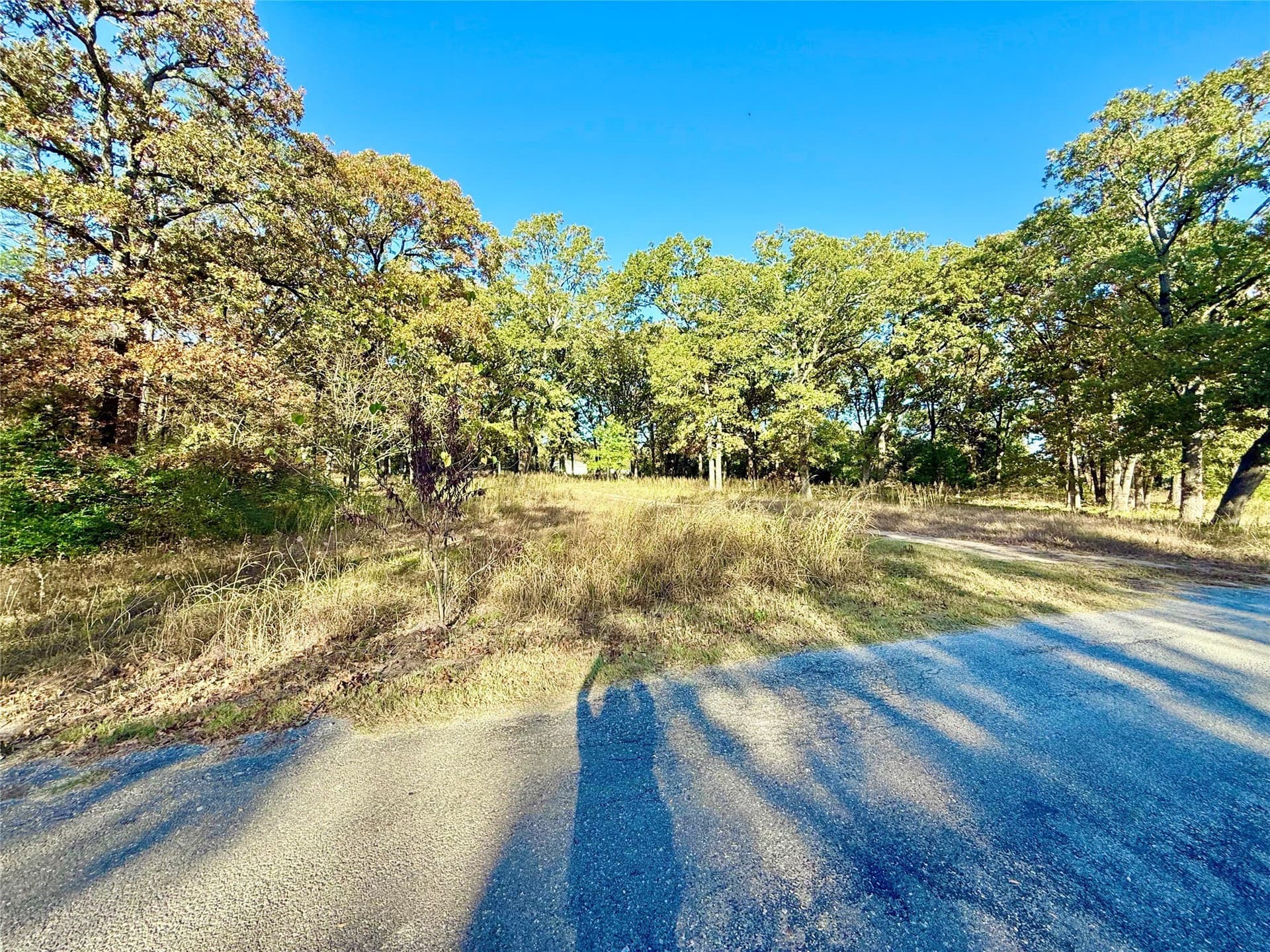 4 acres in Fannin County - photo 7