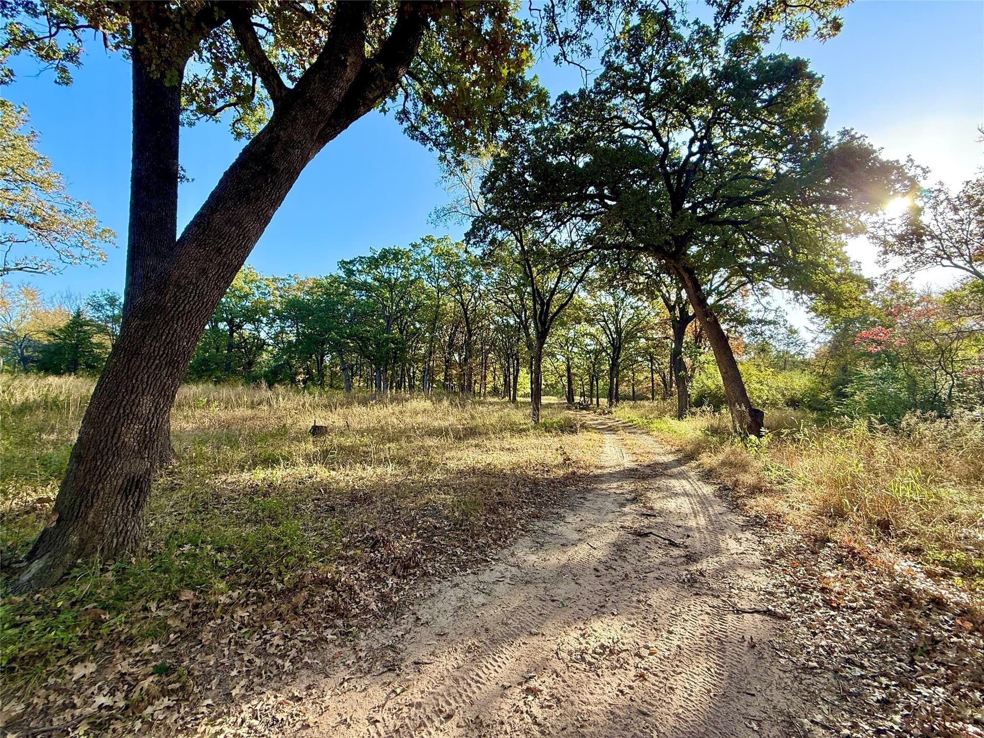 4 acres in Fannin County - photo 13