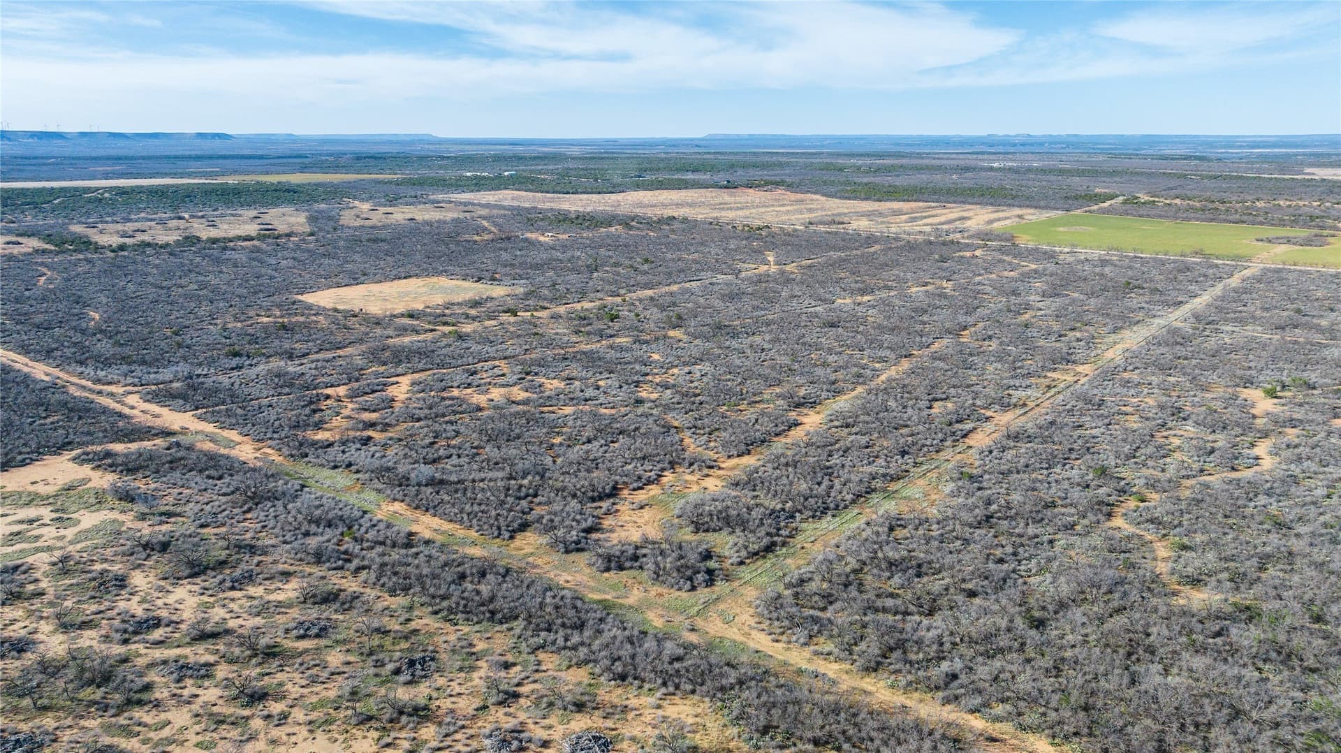 61.37 acres in Coke County - photo 20