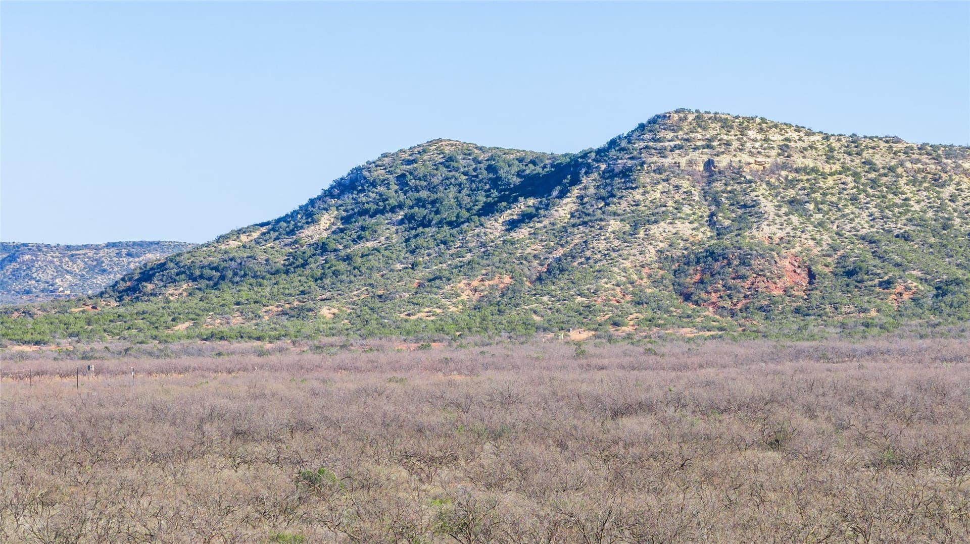61.37 acres in Coke County - photo 37