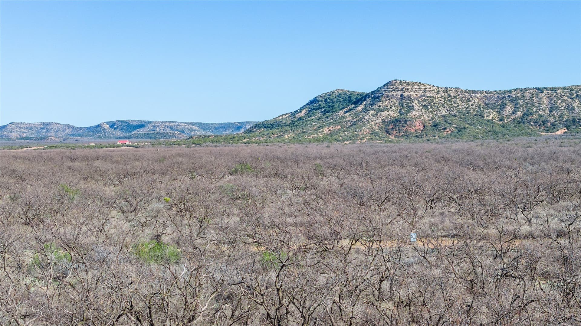 61.37 acres in Coke County - photo 16