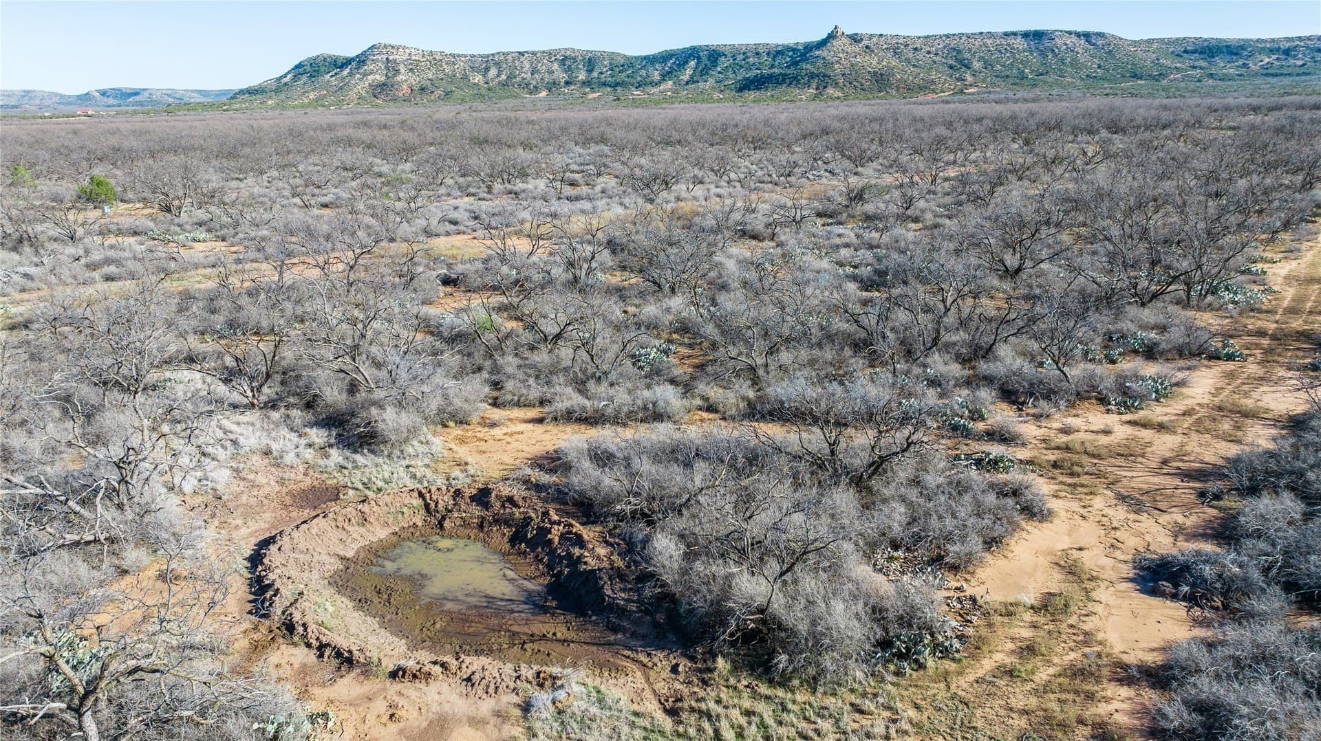 61.37 acres in Coke County - photo 26
