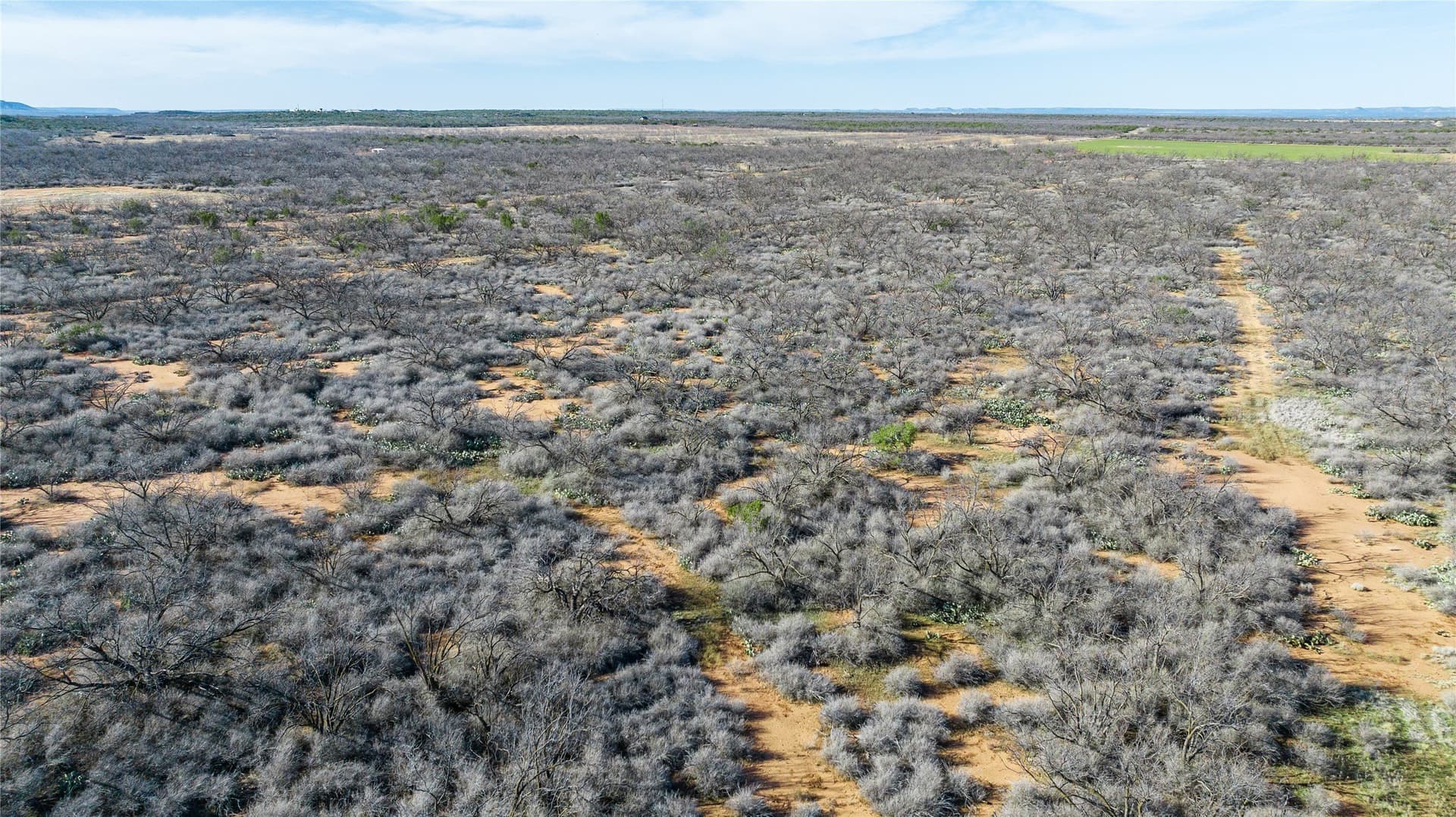 61.37 acres in Coke County - photo 23