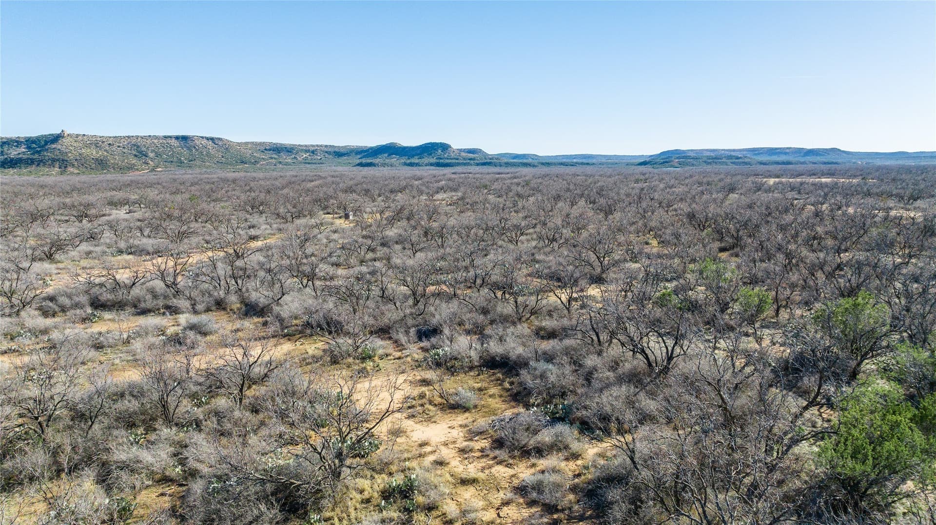 61.37 acres in Coke County - photo 12