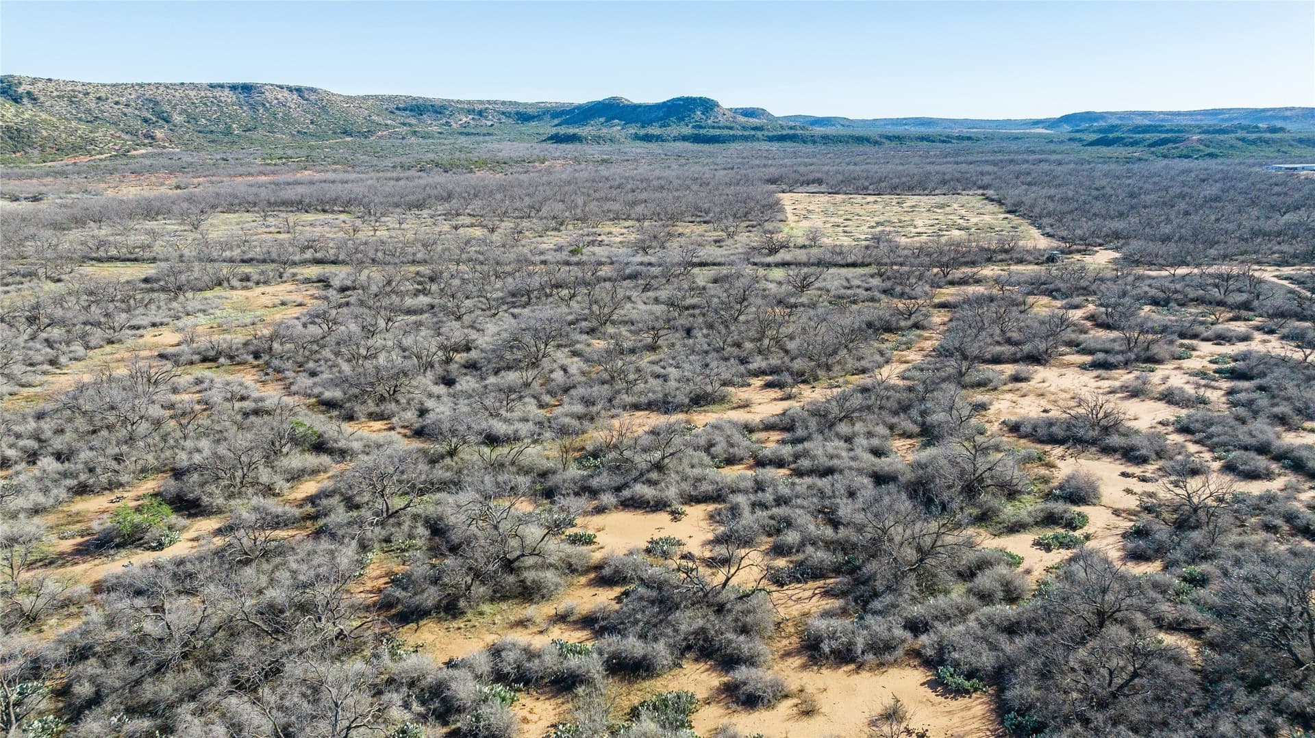 61.37 acres in Coke County - photo 24