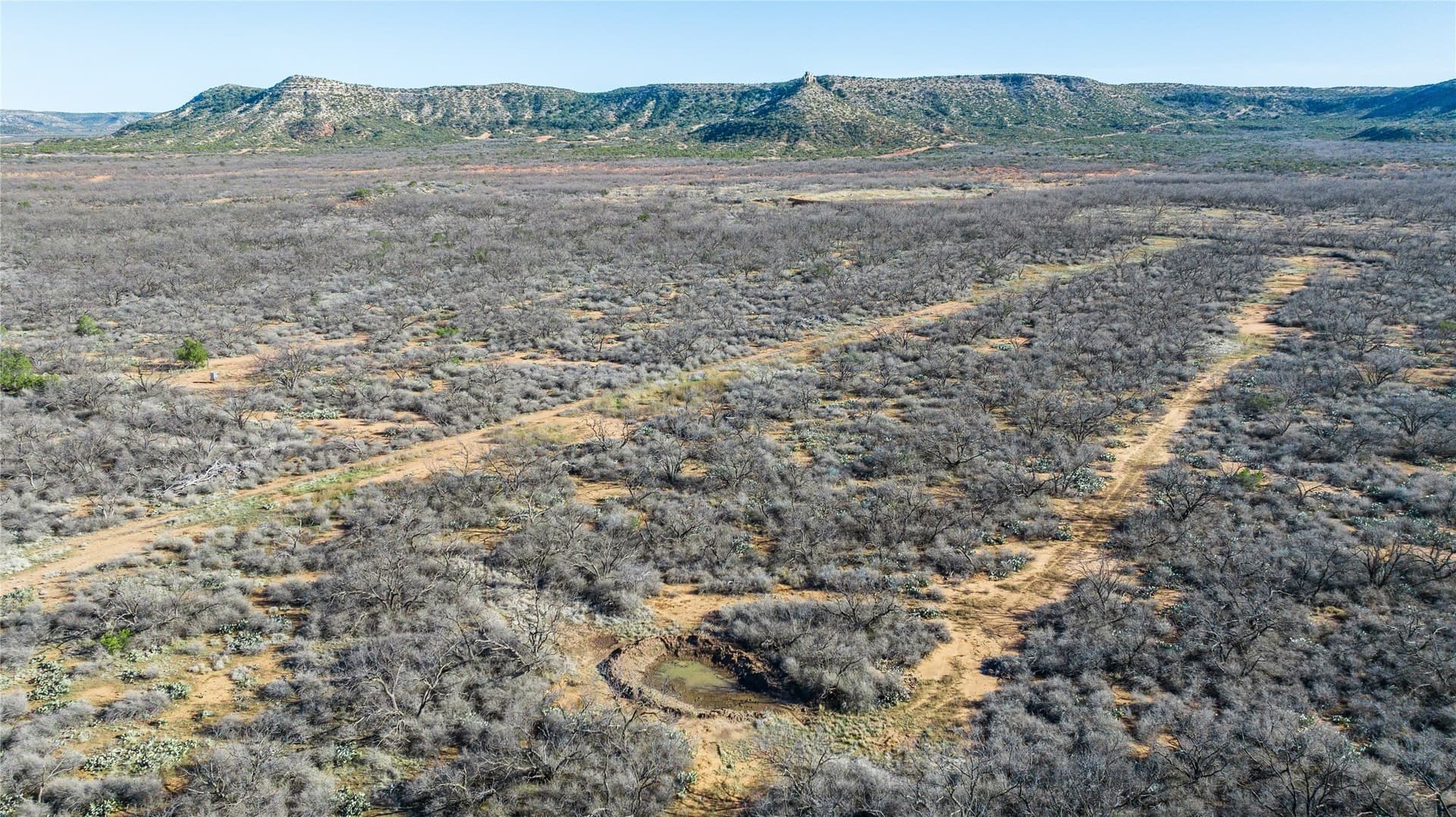 61.37 acres in Coke County - photo 25