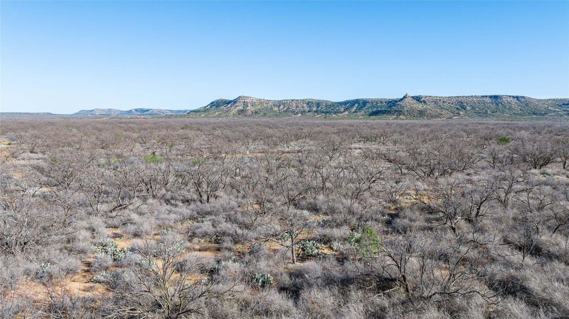 61.37 acres in Coke County - photo 15