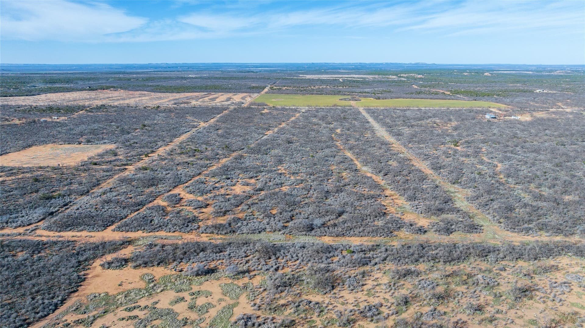 61.37 acres in Coke County - photo 19