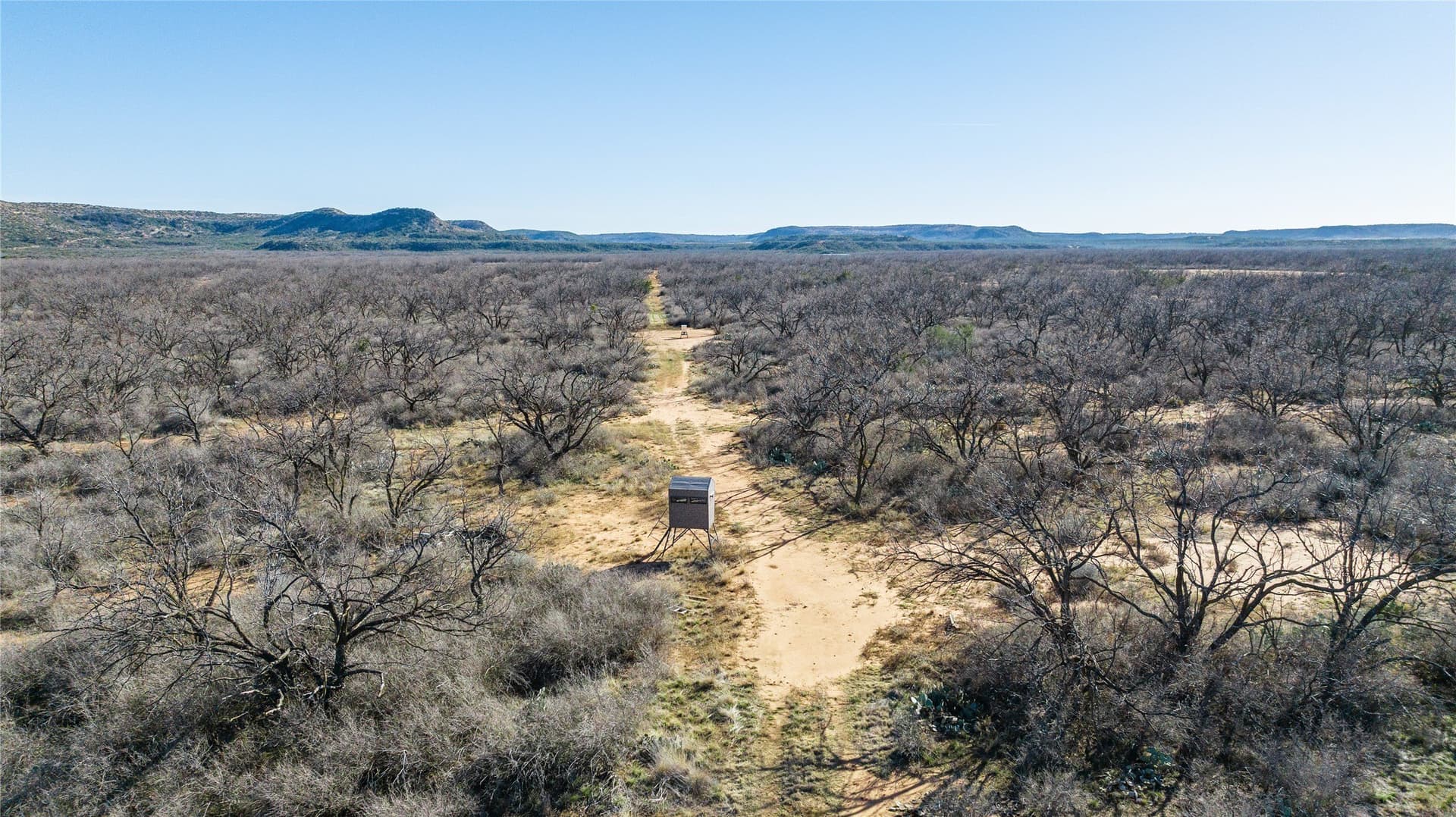 61.37 acres in Coke County - photo 13