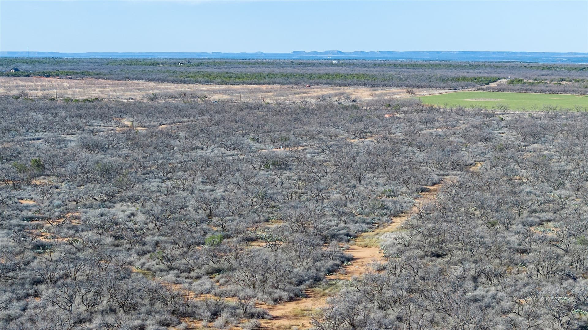 61.37 acres in Coke County - photo 21