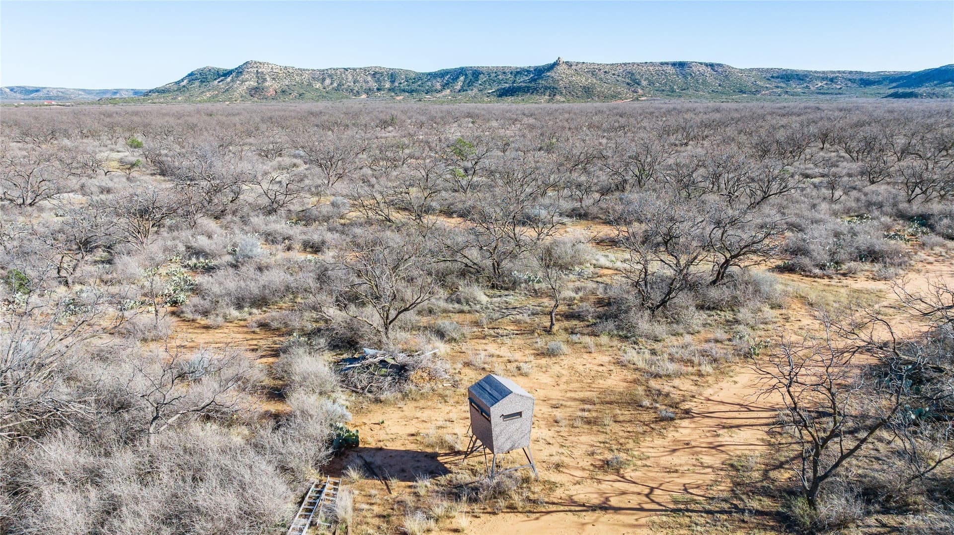 61.37 acres in Coke County - photo 31
