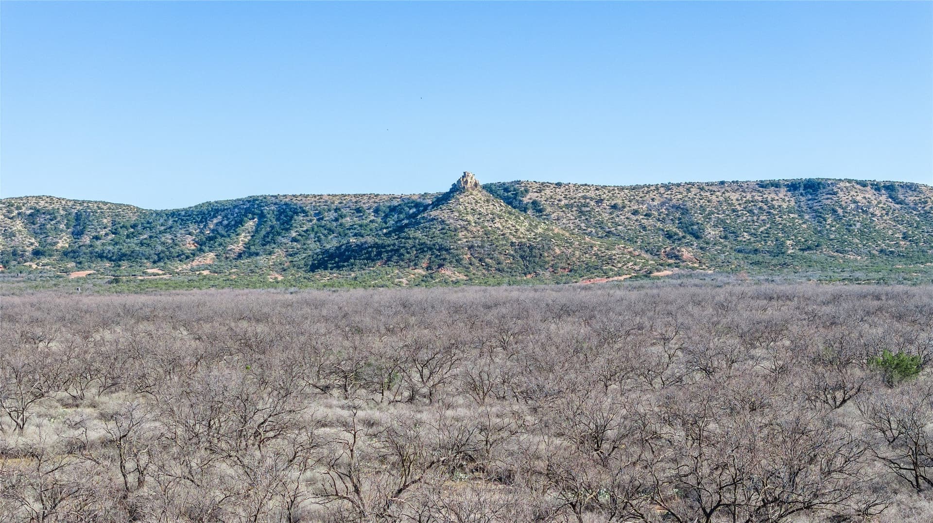 61.37 acres in Coke County - photo 17