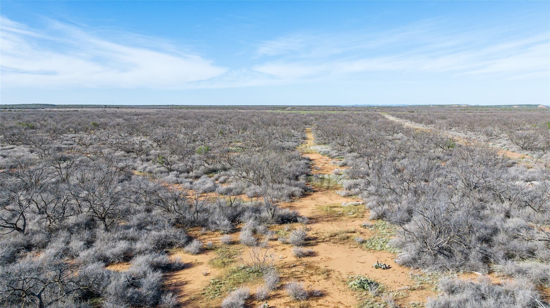 61.37 acres in Coke County - photo 22