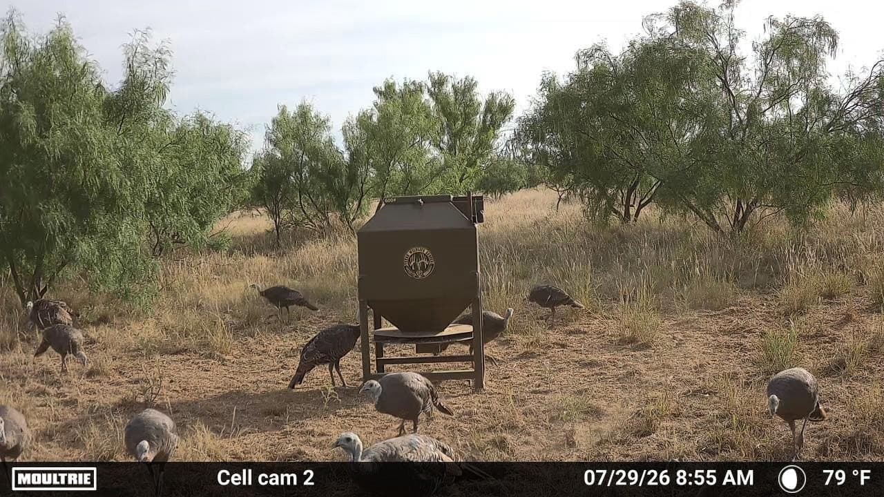 142.8 acres in Dickens County - photo 19