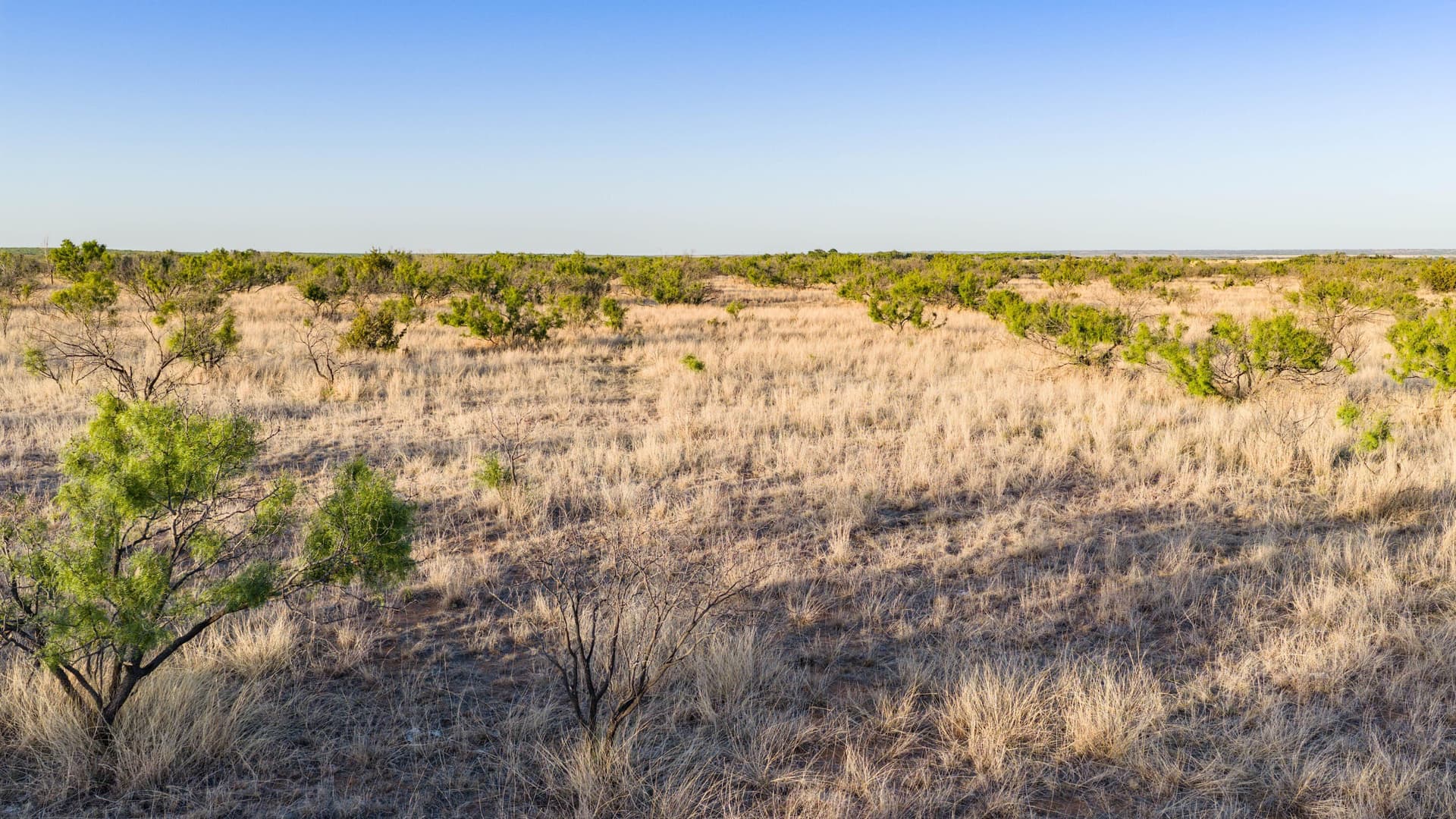 142.8 acres in Dickens County - photo 8