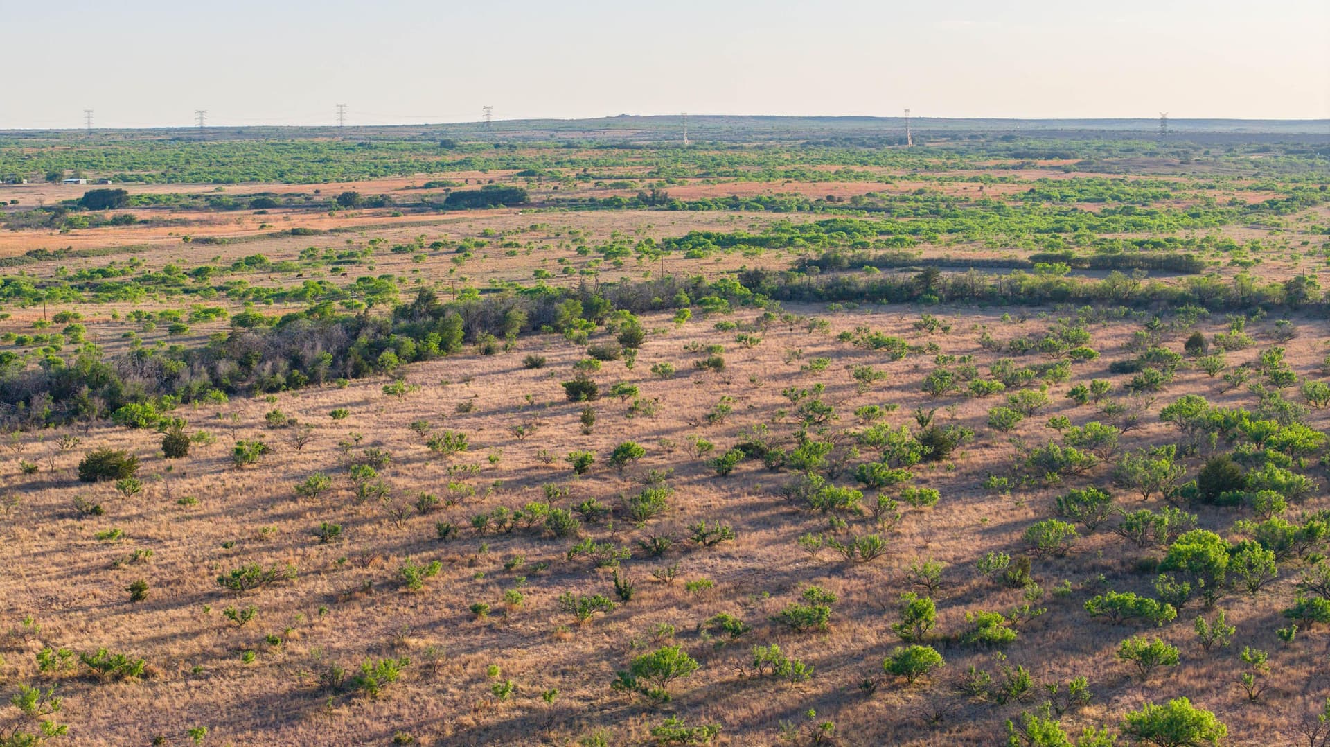 142.8 acres in Dickens County featured view