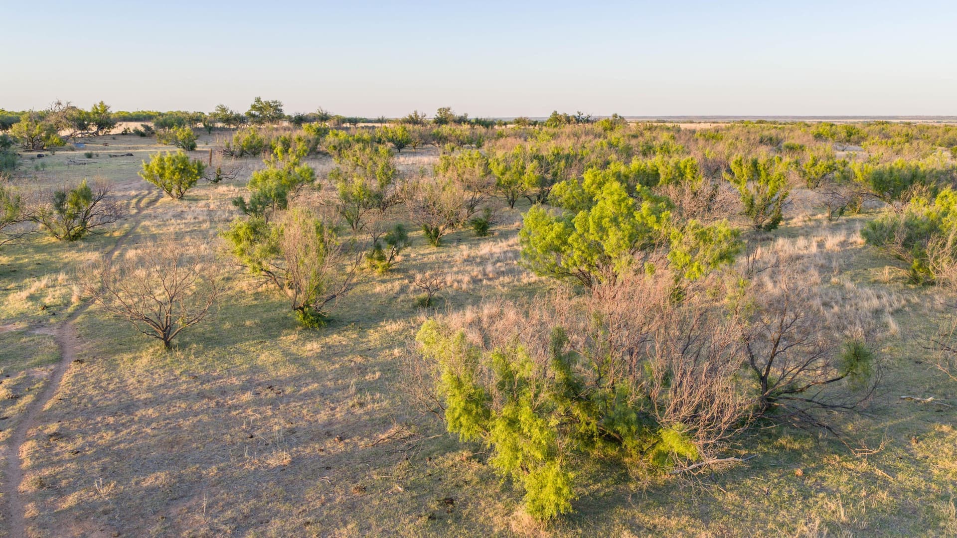 142.8 acres in Dickens County - photo 13