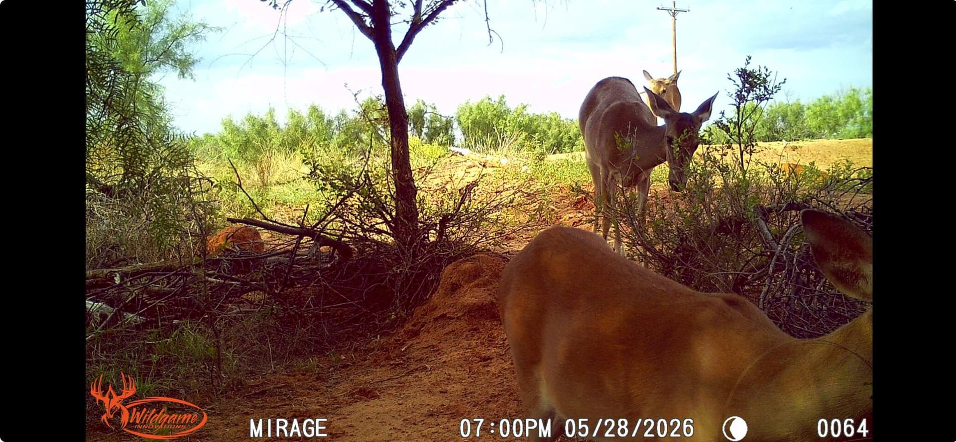 142.8 acres in Dickens County - photo 15