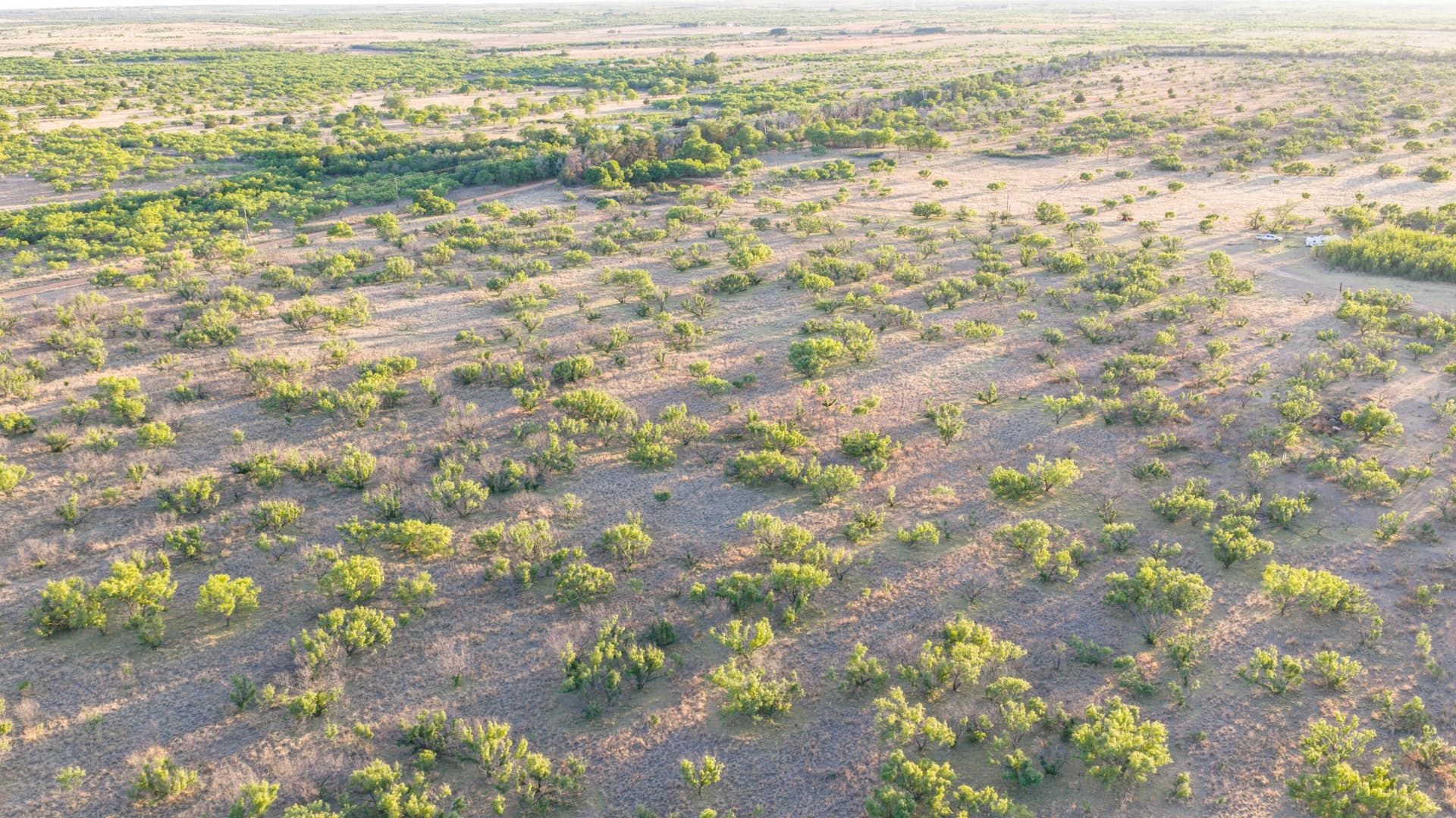 142.8 acres in Dickens County - photo 9