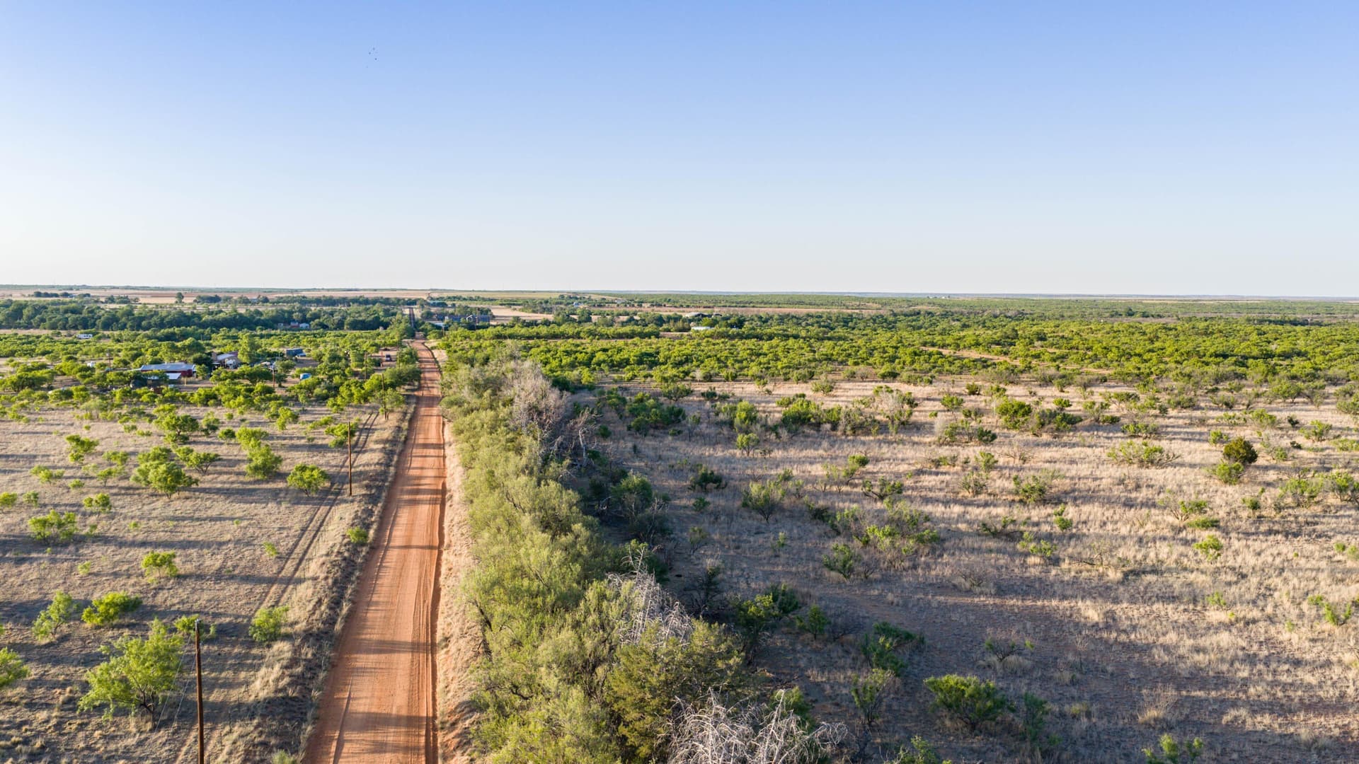 142.8 acres in Dickens County - photo 7