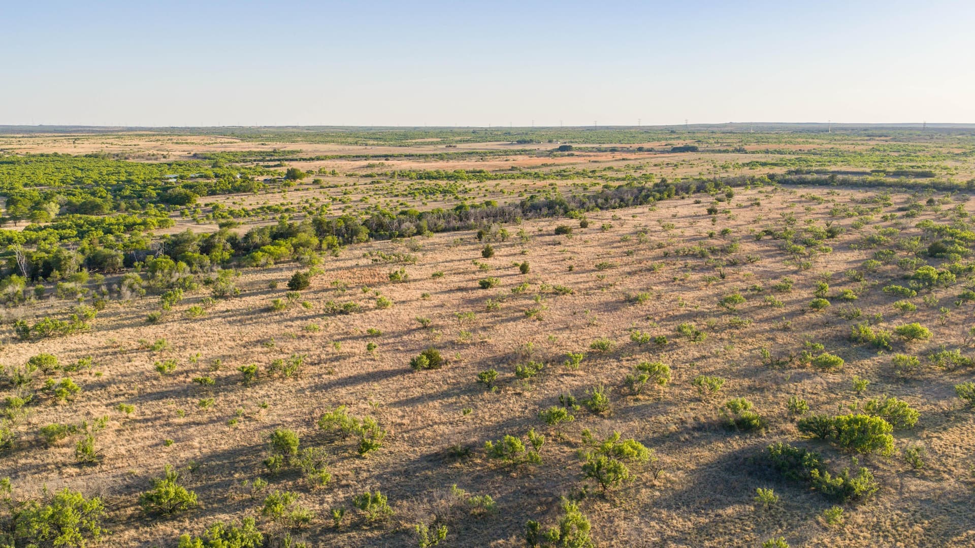 142.8 acres in Dickens County gallery image 3