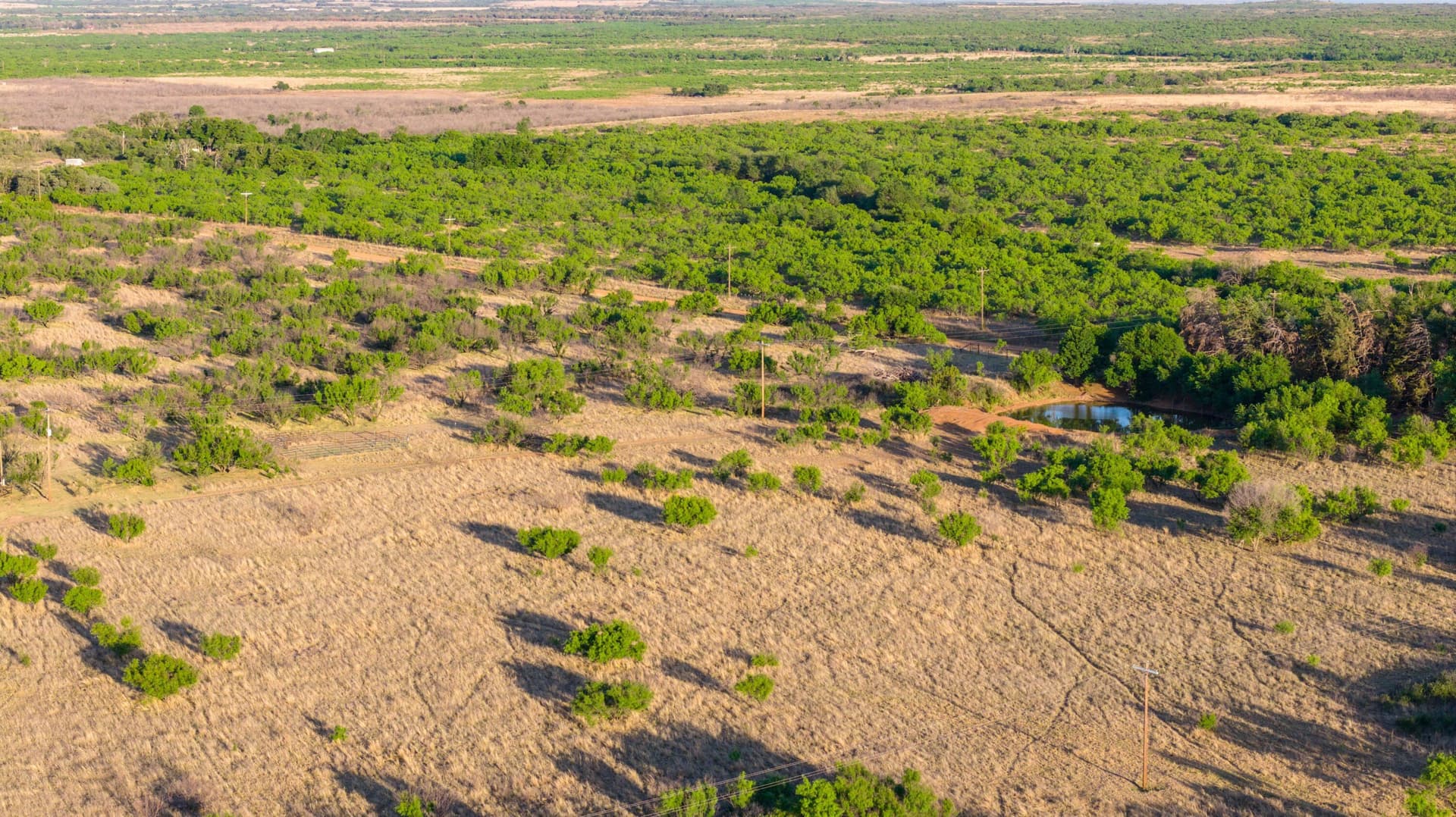 142.8 acres in Dickens County gallery image 4