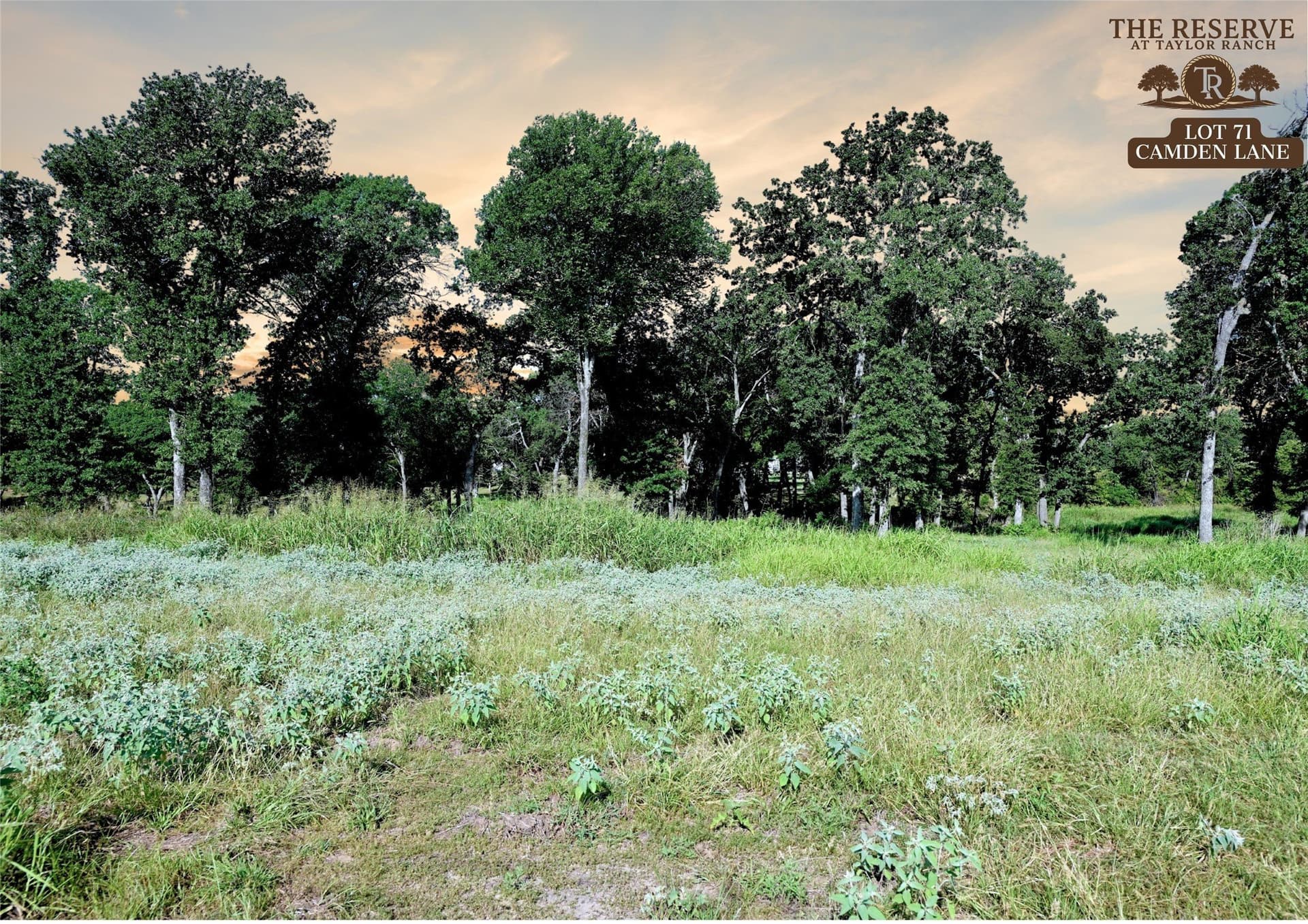 1.93 acres in Parker County gallery image 2