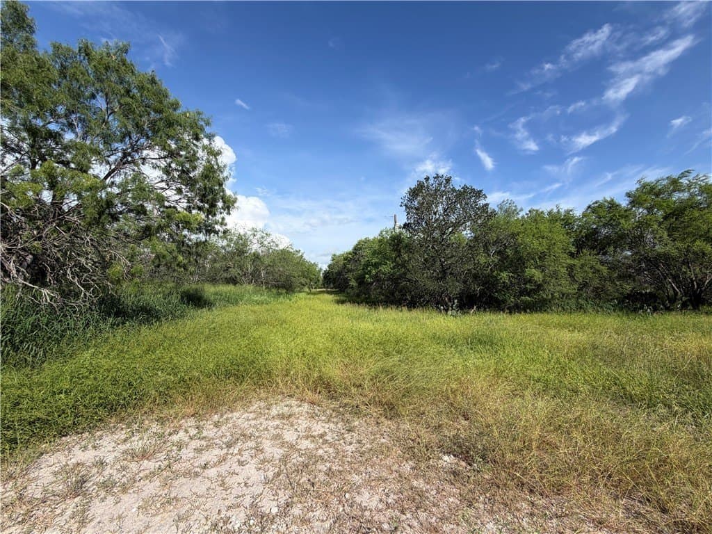 10.51 acres in Live Oak County gallery image 2