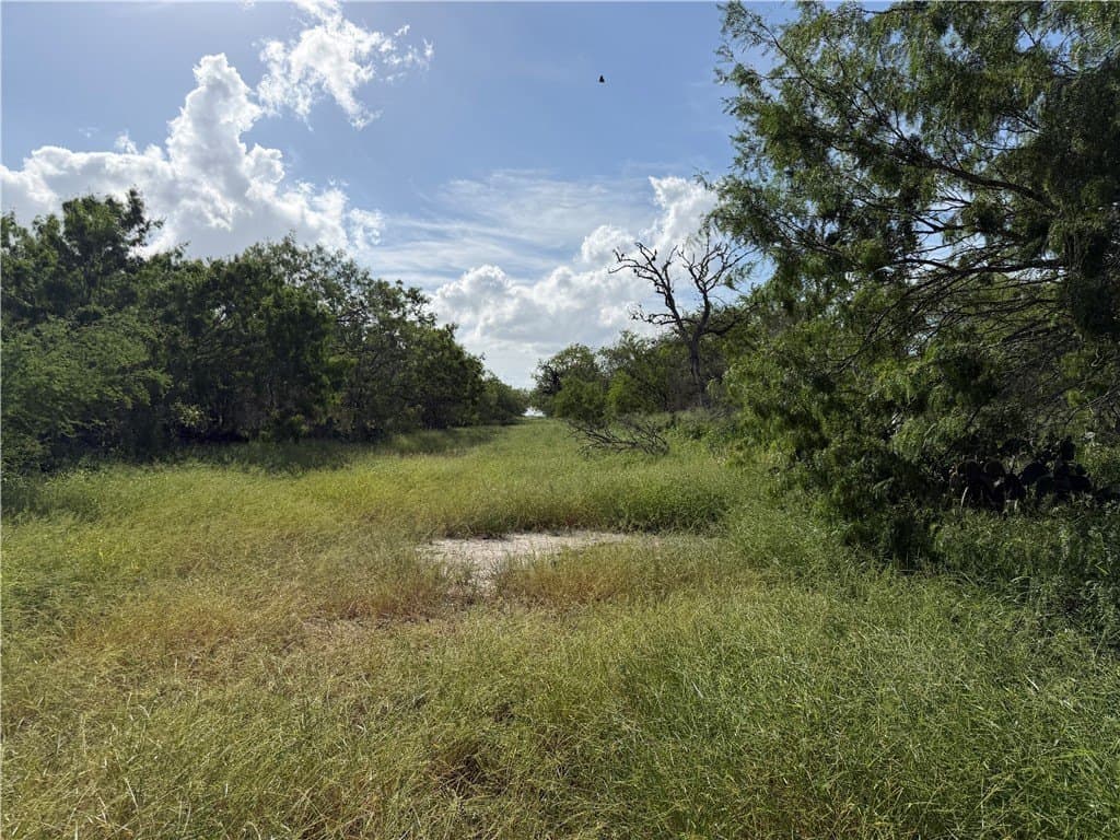 10.51 acres in Live Oak County gallery image 4
