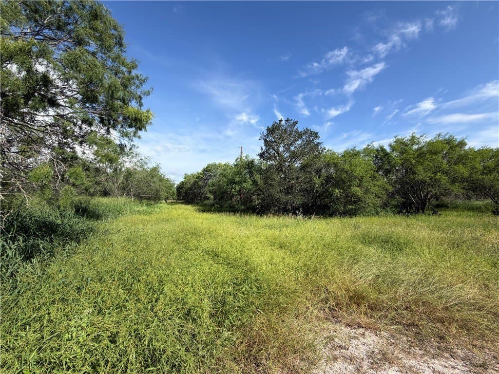 10.51 acres in Live Oak County