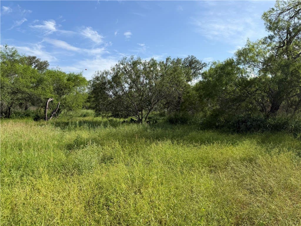 10.51 acres in Live Oak County gallery image 3